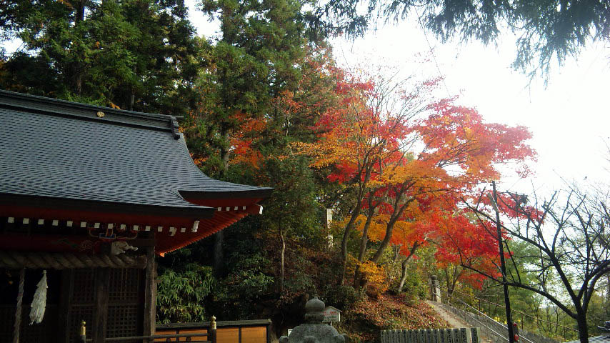 Fuchu Hachiman Shrine