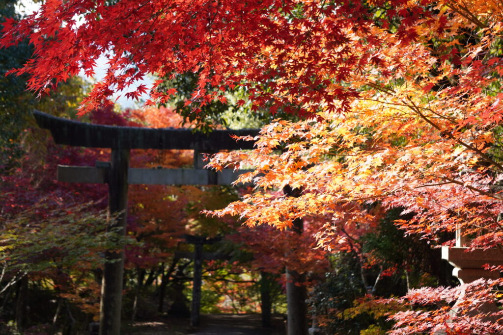 府中八幡神社