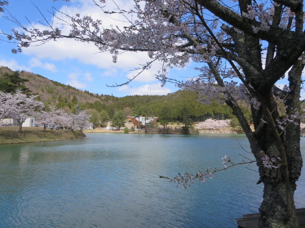 羽高湖森林公園