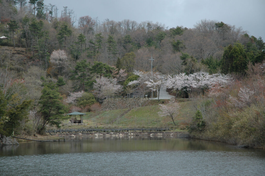 七ツ池自然公園