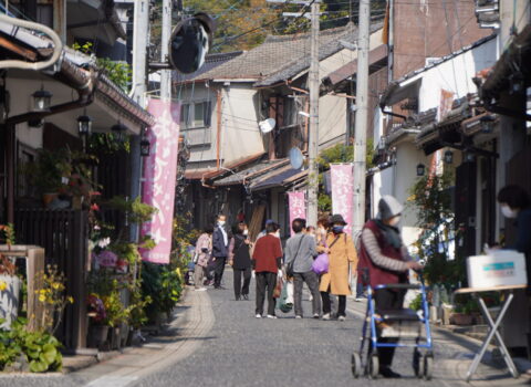 おいでゃんせ祭り