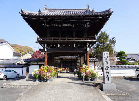 おいでゃんせ祭り