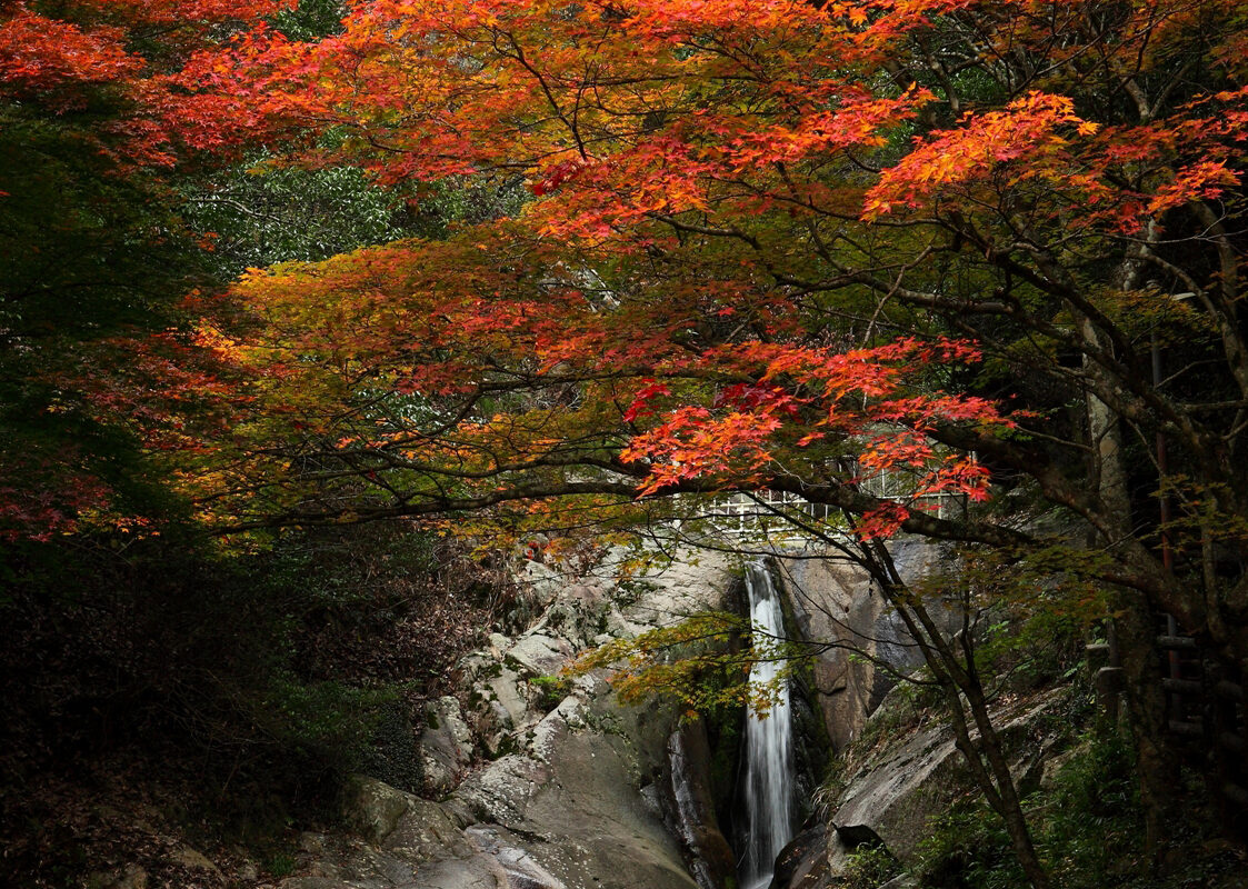 Saburo Waterfall Autumn Leaves Festival
