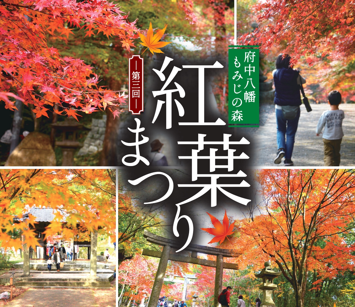 紅葉まつり開催のお知らせ | 府中市観光協会 FUN！FAN！FUCHU !!