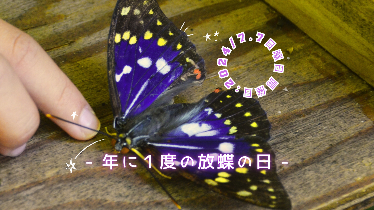 86e9c5fe020ad955eeafcd46e00d35