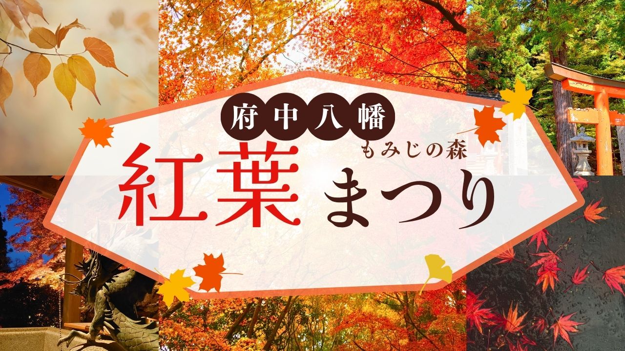 府中八幡紅葉まつり11/30 | 府中市観光協会 FUN！FAN！FUCHU !!